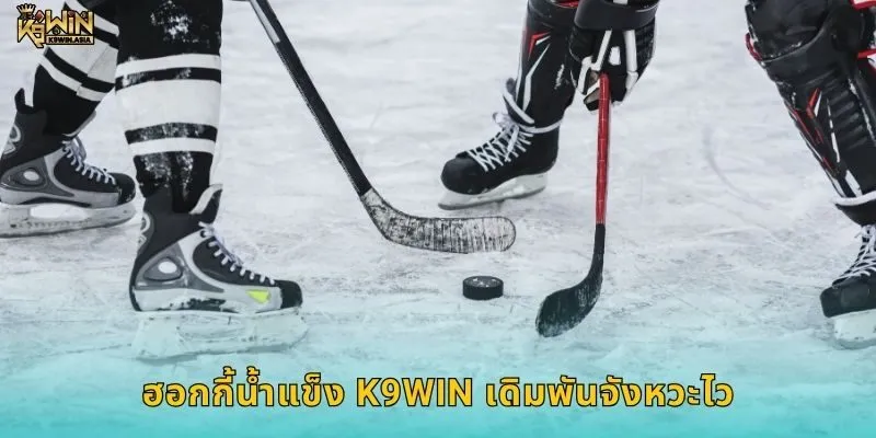 ฮอกกี้น้ำแข็ง K9WIN เดิมพันจังหวะไว